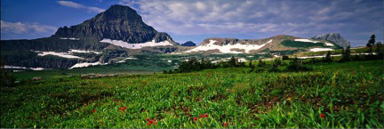 mountian in Glacier park meadow in foreground