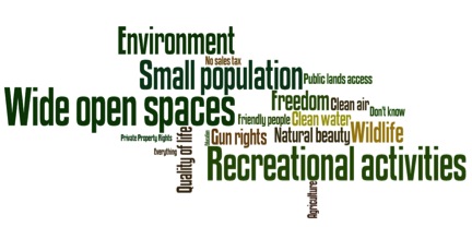 word cloud with environement, small population wide open spaces quality of life and others
